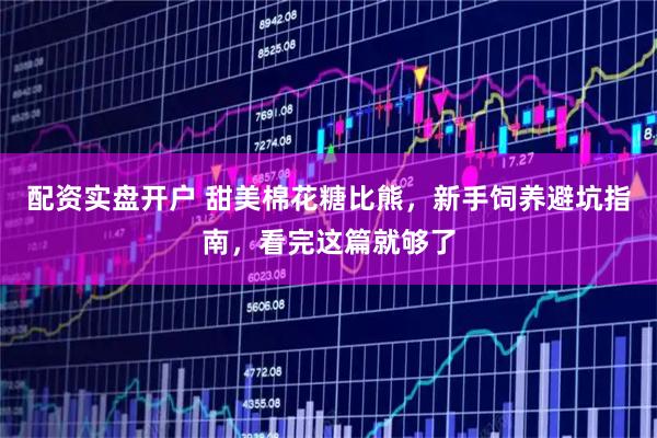 配资实盘开户 甜美棉花糖比熊，新手饲养避坑指南，看完这篇就够了